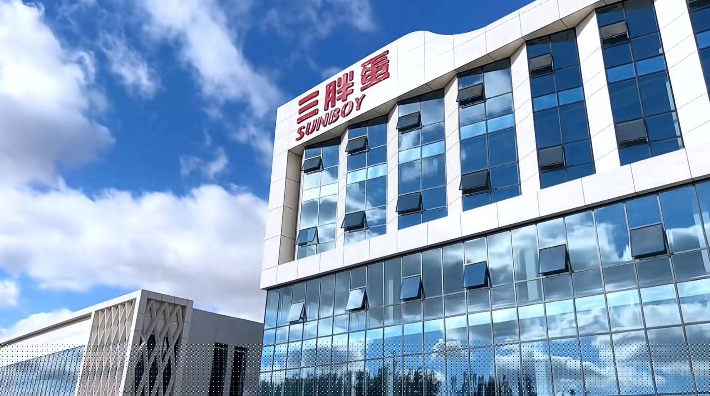 內(nèi)蒙古三胖蛋瓜子生產(chǎn)工廠